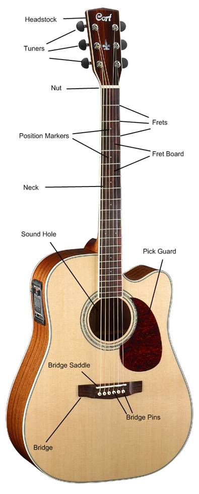 parts of acoustic guitar